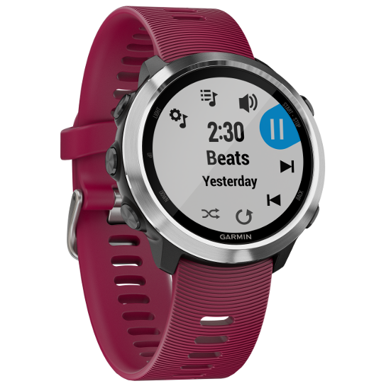 fenix 5 forerunner 645
