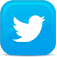 Twitter Icon