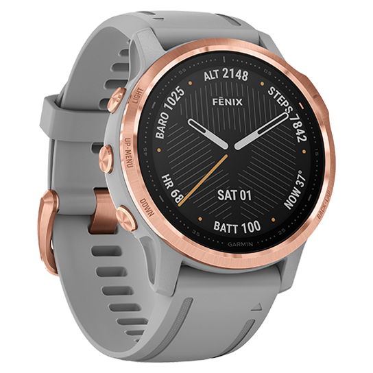 fenix 6s vs 245