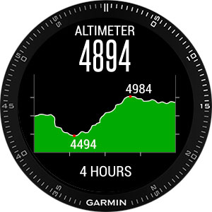 PULSOMETRO GARMIN FENIX 3 ZAFIRO 010-01338-26