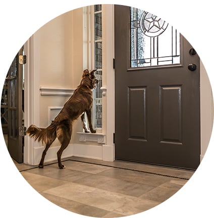 Garmin delta inbounds wireless dog containment system sale