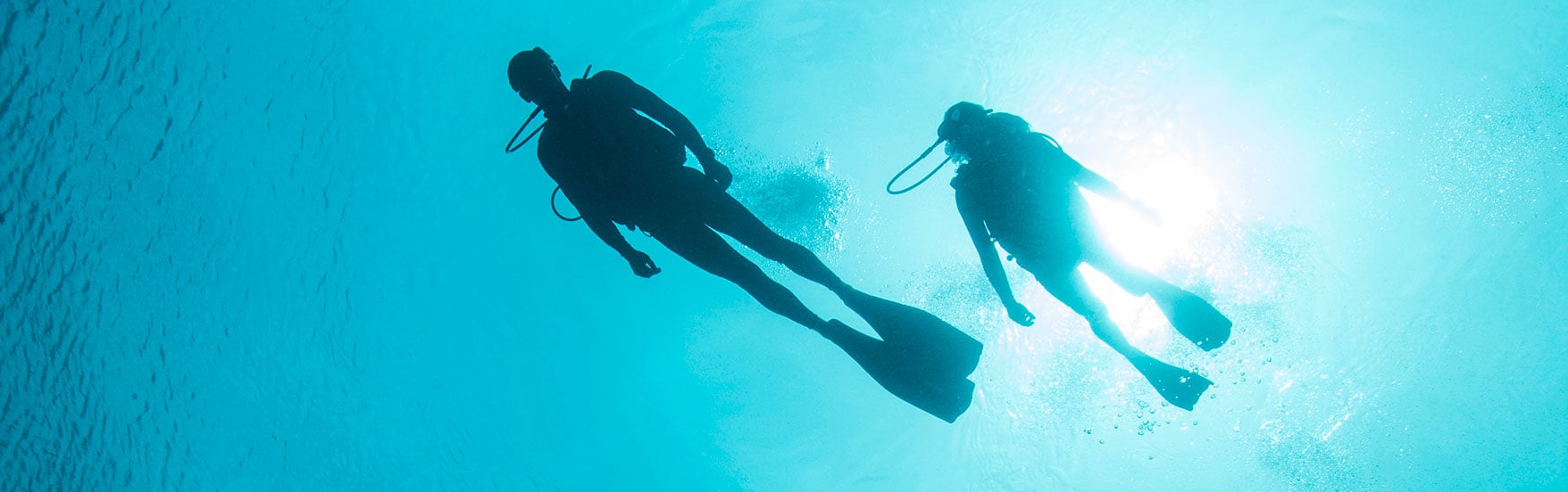 Garmin Descent™ MK1, Dive Computer