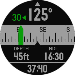 Garmin Descent™ MK1, Dive Computer