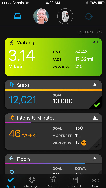 Garmin Vivofit 4 Black L