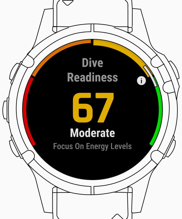 Garmin fenix 5 online diving