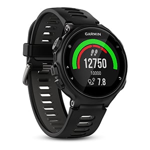 Pantalla de pasos Forerunner 735XT